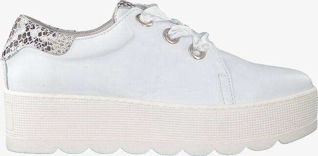 ROBERTO D'ANGELO Chaussures à lacets 605 en blanc  - large