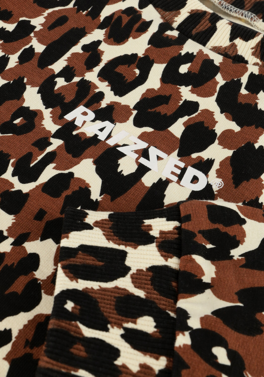 RAIZZED Chandail HANNA en marron - large