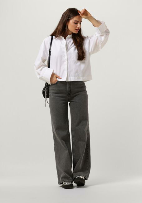 SELECTED WOMEN Wide jeans SLFELOISE HW WIDE LIGHT GREY JEANS Gris clair - large