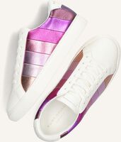 Witte KURT GEIGER LONDON Sneakers LANE STRIPE Witte KURT GEIGER LONDON Sneakers LANE STRIPE - medium