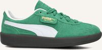 Groene PUMA Sneakers PALERMO JR Groene PUMA Sneakers PALERMO JR - medium