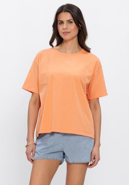 AMERICAN VINTAGE T-shirt FIZVALLEY - large