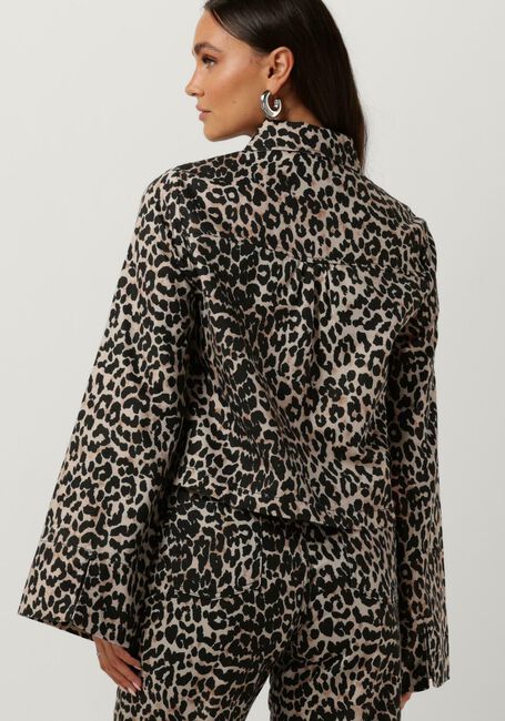 HARPER & YVE Jack LEXIE-JA en marron - large