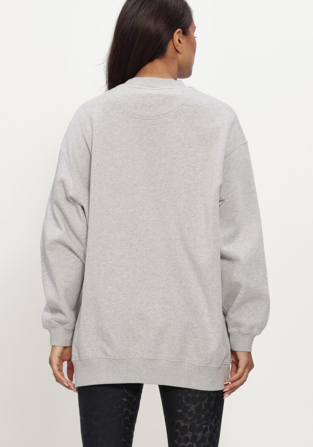 Grijze DEBLON SPORTS Sweater PEYTON SWEATER - large