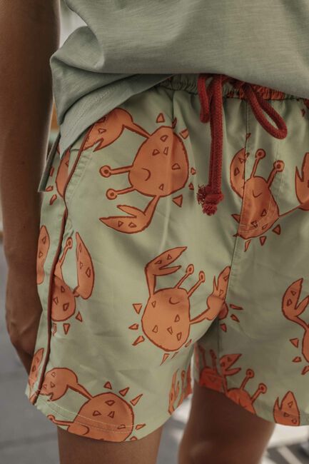 AMMEHOELA Shorts de bain AM.TYLER.08 en multicolore - large