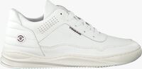 Witte VINGINO Lage sneakers CELSO - medium