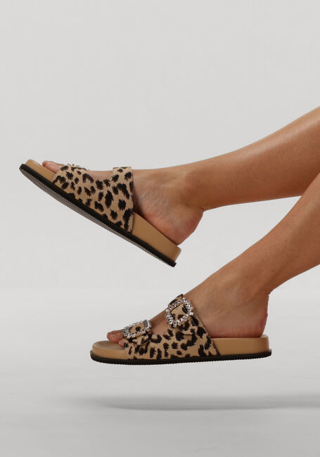 Bruine JOSH V Slippers MECIA Bruine JOSH V Slippers MECIA - large