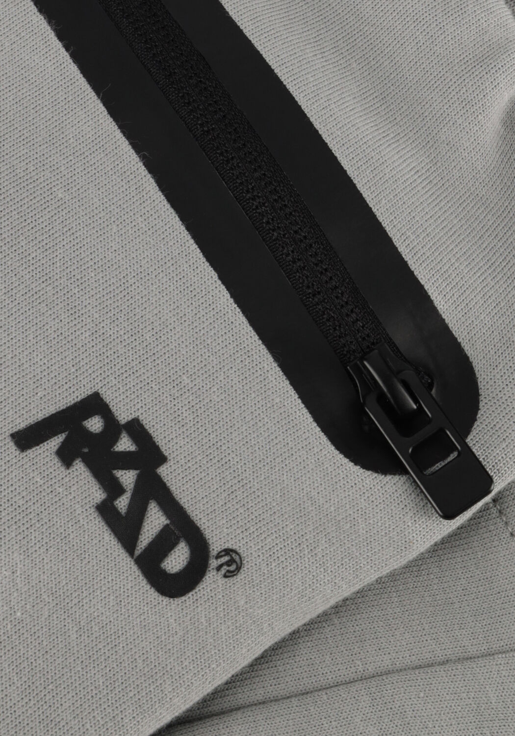 Lichtgrijze RAIZZED Korte broek ROLLAN - large