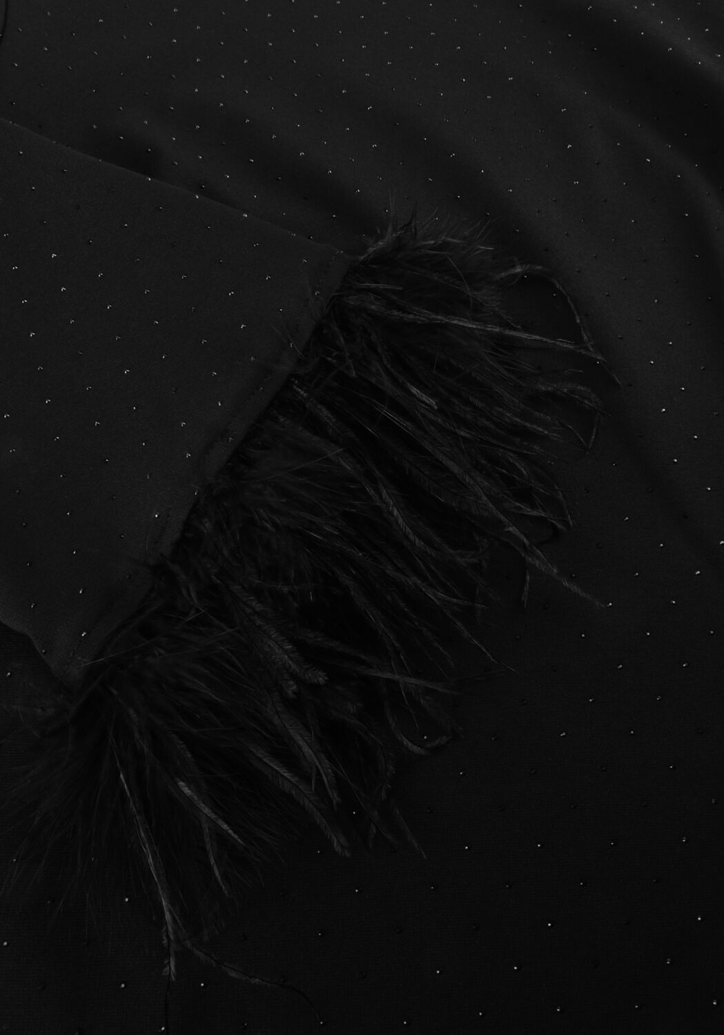 Zwarte ANA ALCAZAR Mini jurk DRESS FEATHERS - large