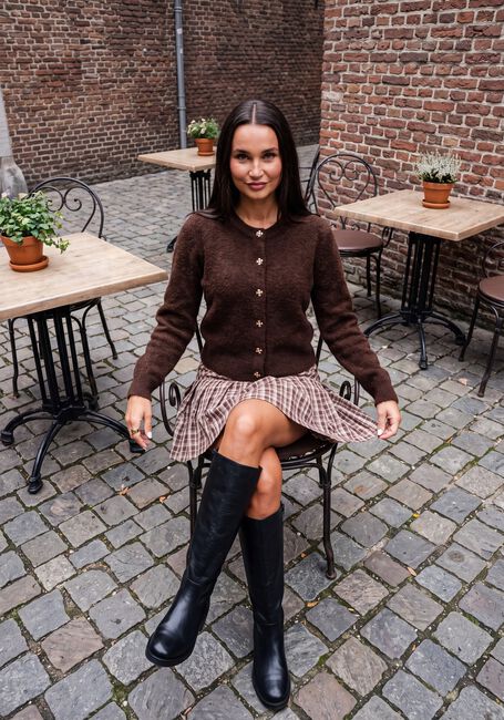 Bruine YDENCE Trui CARDIGAN EDEN - large