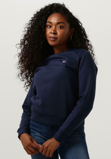 TOMMY JEANS Chandail TJW REGULAR FLEECE C NECK en bleu - large