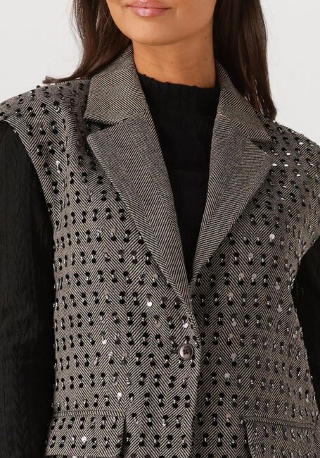 AAIKO Blazer IVANNA  PES 255 en gris - large