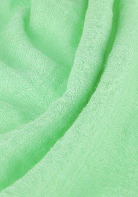 NOTRE-V 106 Foulard en vert - large