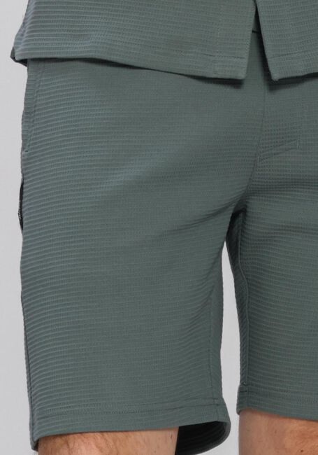 CHASIN Pantalon courte 23110006_STONE.S STRUCTURE Vert fonc&eacute; - large