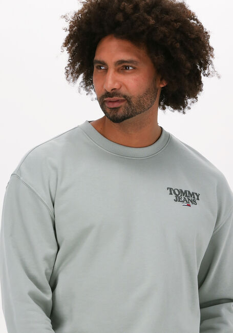 TOMMY JEANS Chandail TJM TONAL ENTRY GRAPHIC CREW Olive - large