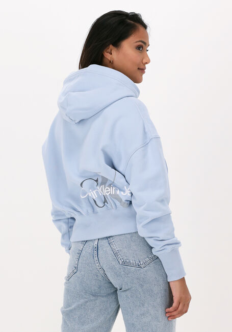 CALVIN KLEIN Chandail BACK TWO TONE MONOGRAM HOODIE Bleu clair - large