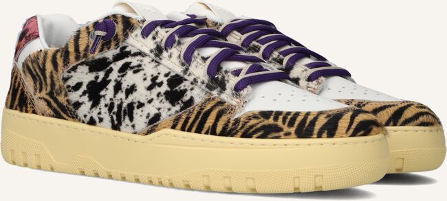 Multi P448 Sneakers MASON WMN Multi P448 Sneakers MASON WMN - large