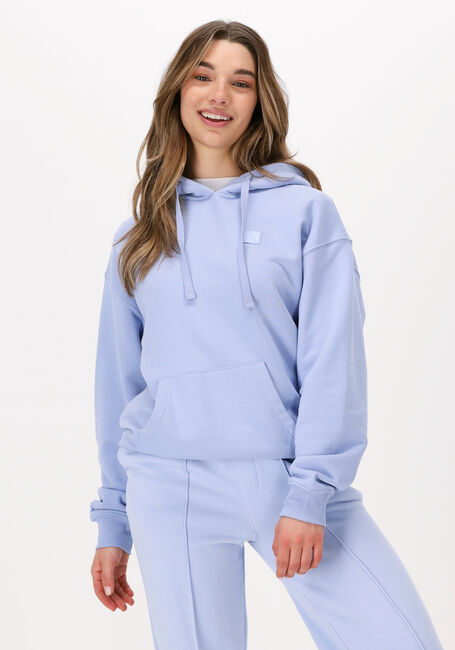 COLOURFUL REBEL Chandail UNI OVERSIZED HOODIE Lilas - large