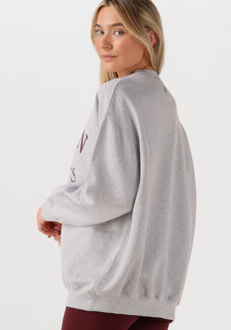 DEBLON SPORTS Chandail LILOU SWEATER Gris clair - large