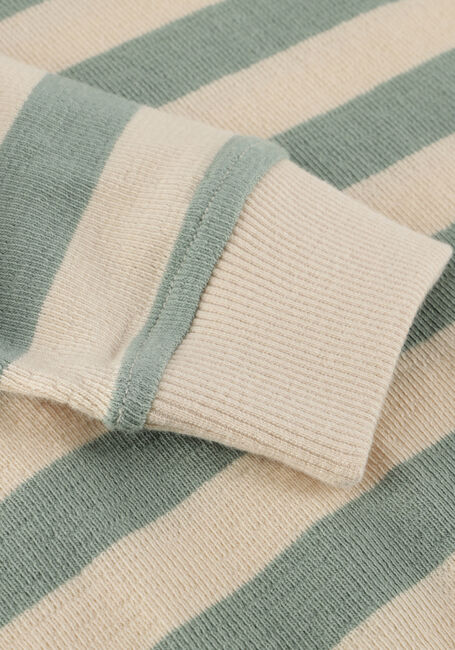 DAILY7 T-shirt T-SHIRT LONGSLEEVE STRIPE en vert - large