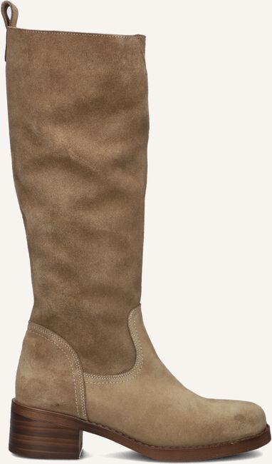 BLASZ 2167 BLASZ 2167 - large