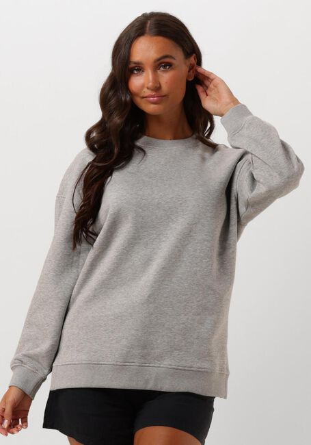 SELECTED FEMME Chandail SLFGIA YRSA LS CREW NECK SWEAT Gris clair - large