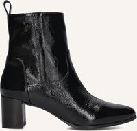 NOTRE-V 8543 - medium