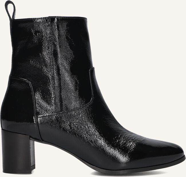 NOTRE-V 8543 NOTRE-V 8543 - large