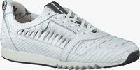Witte FLORIS VAN BOMMEL Sneakers 85130 - medium