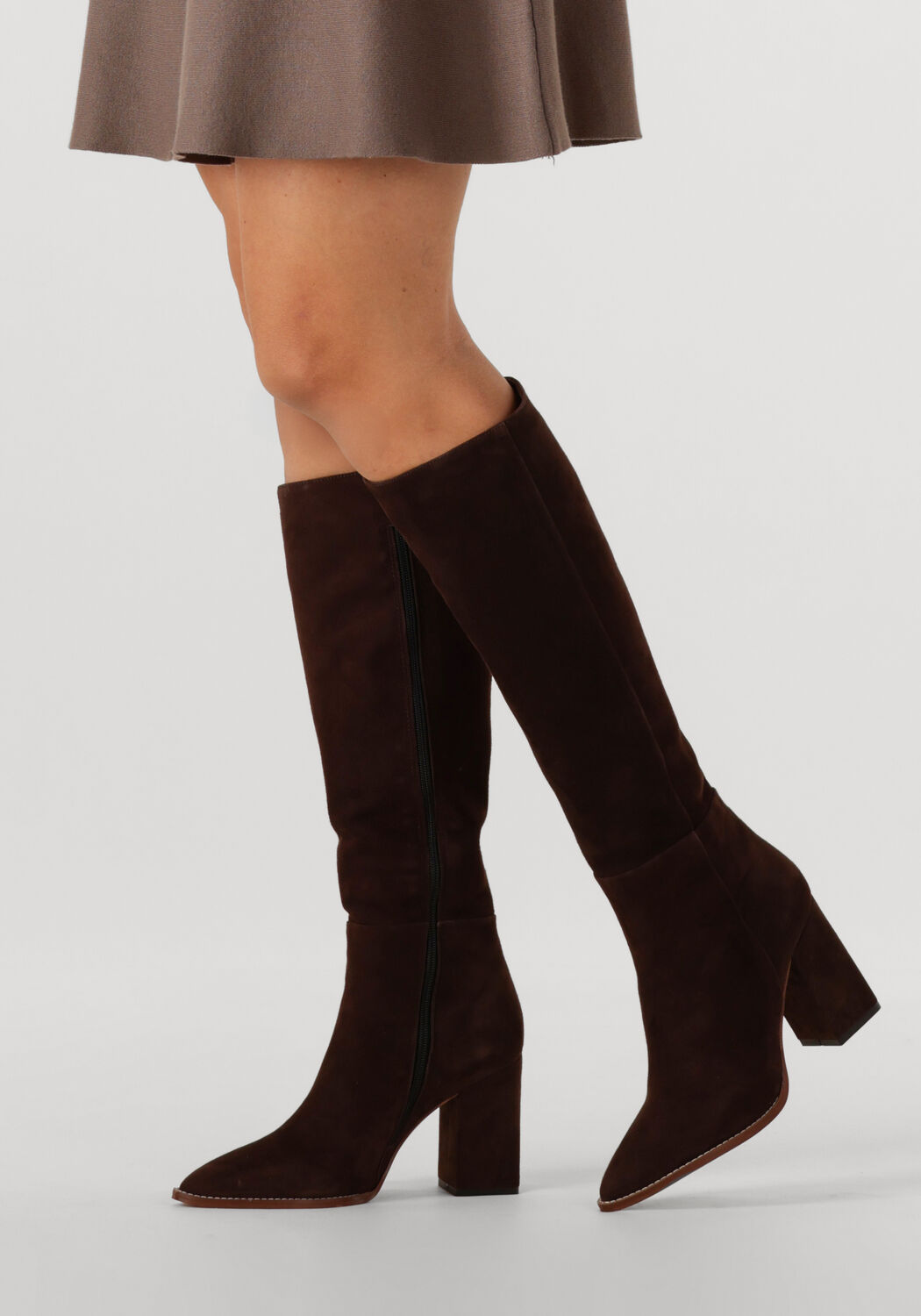 Bruine NOTRE-V  46994 - large