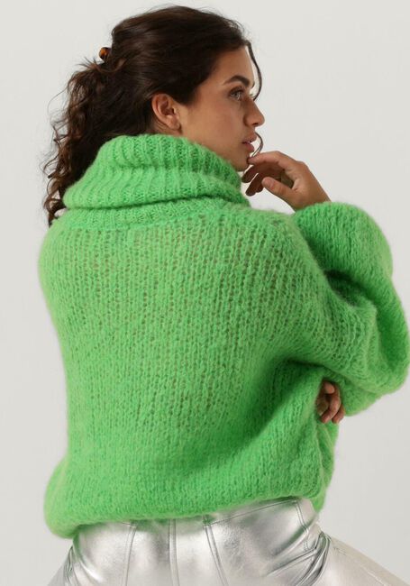 Groene AMERICAN DREAMS Coltrui PEPPER ROLL NECK CROPPED - large