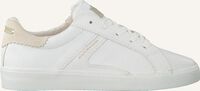 SCOTCH & SODA Baskets montantes LAURITE en blanc  SCOTCH & SODA Baskets montantes LAURITE en blanc  - medium