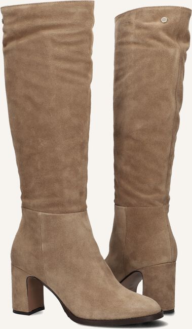 Camel NOTRE-V  AN285 Camel NOTRE-V  AN285 - large