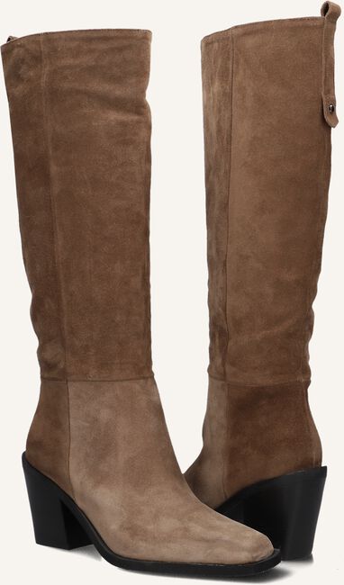 Taupe BLASZ  12 Taupe BLASZ  12 - large