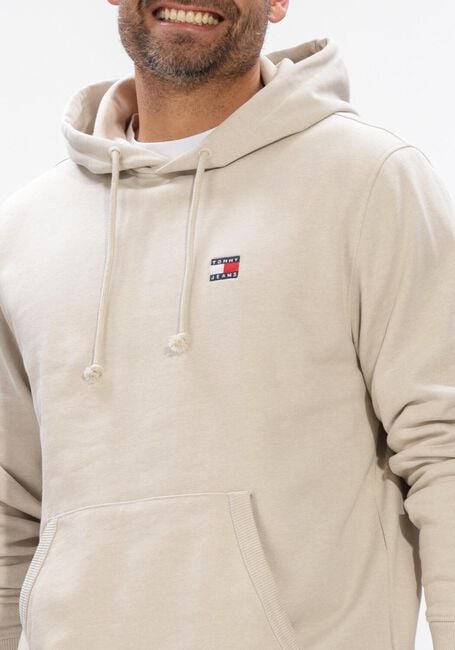 TOMMY JEANS Chandail TJM REG BADGE HOODIE EXT Bleu clair - large