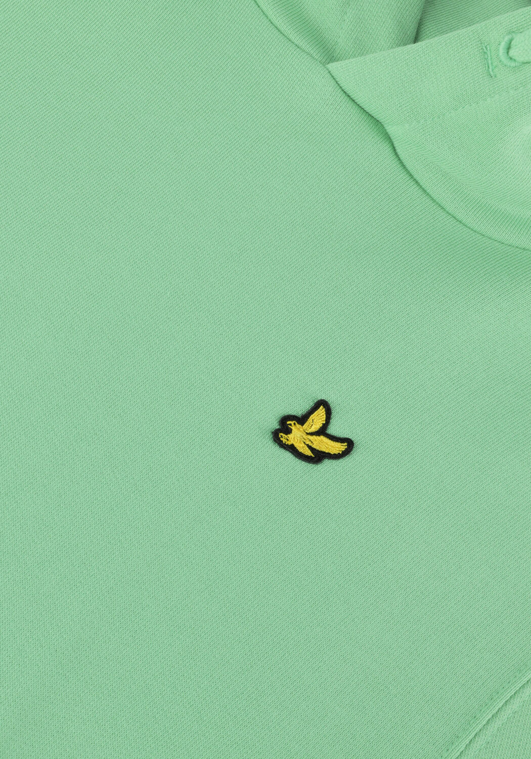 LYLE & SCOTT PULLOVER HOODIE Pulls & Gilets en vert - large