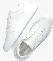 Witte CYCLEUR DE LUXE Lage sneakers GRAVITY - medium