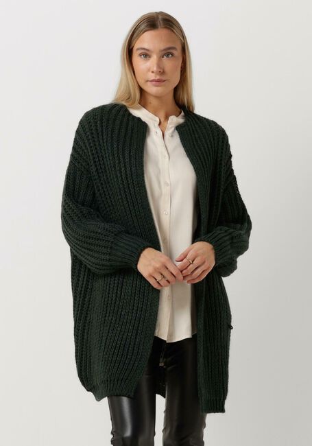Groene SIMPLE Vest OLIVE KNIT-WO-22-3 - large