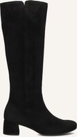 GABOR 689 - medium