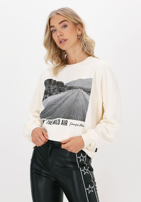 COLOURFUL REBEL Chandail WILD AIR DROPPED SHOULDER SWEA Blanc - large