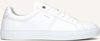 Witte VAN LIER Sneakers 2411000 Witte VAN LIER Sneakers 2411000 - medium