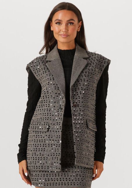 AAIKO Blazer IVANNA  PES 255 en gris - large