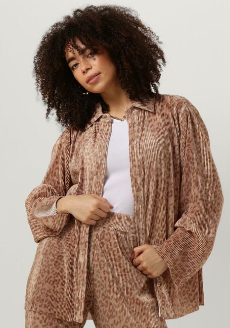 Bruine REFINED DEPARTMENT  JAZZY - large