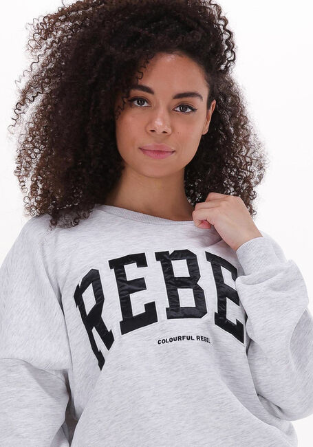 COLOURFUL REBEL Chandail REBEL PATCH DROPPED SHOULDER SWEAT Gris clair - large