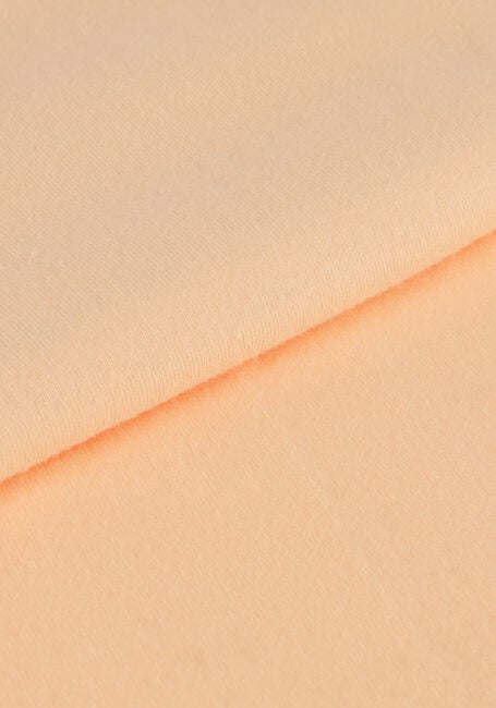 Oranje INDIAN BLUE JEANS T-shirt T-SHIRT IBJNS - large