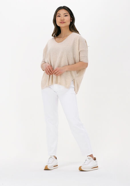 NOT SHY Pull AIMEE Sable - large