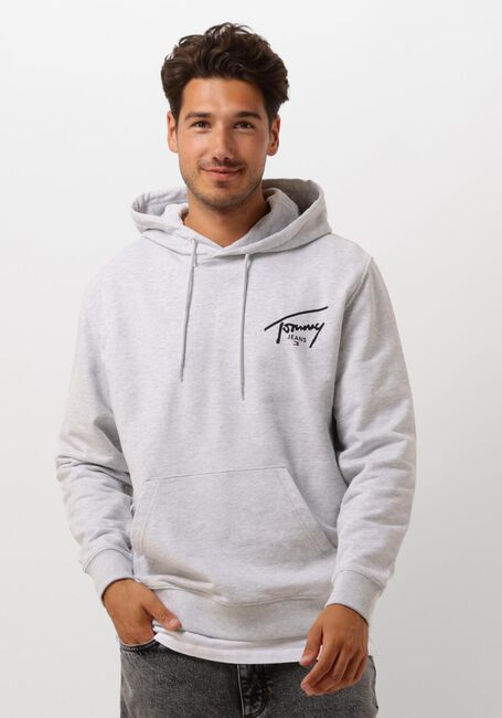 TOMMY JEANS Chandail TJM REG ENTRY GRAPHIC HOODIE EXT Gris clair - large