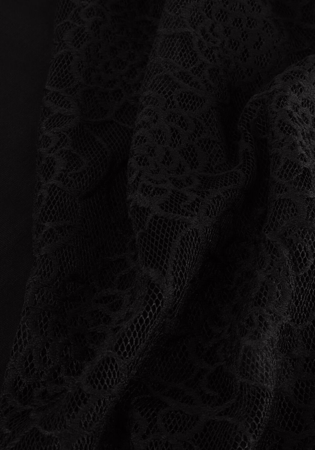 JANSEN AMSTERDAM V107 TOP WITH LACE SLEEVES AND TURTLE NECK Blouses en noir - large