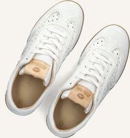 Witte FRED DE LA BRETONIERE Sneakers PEARL RAFFI Witte FRED DE LA BRETONIERE Sneakers PEARL RAFFI - medium