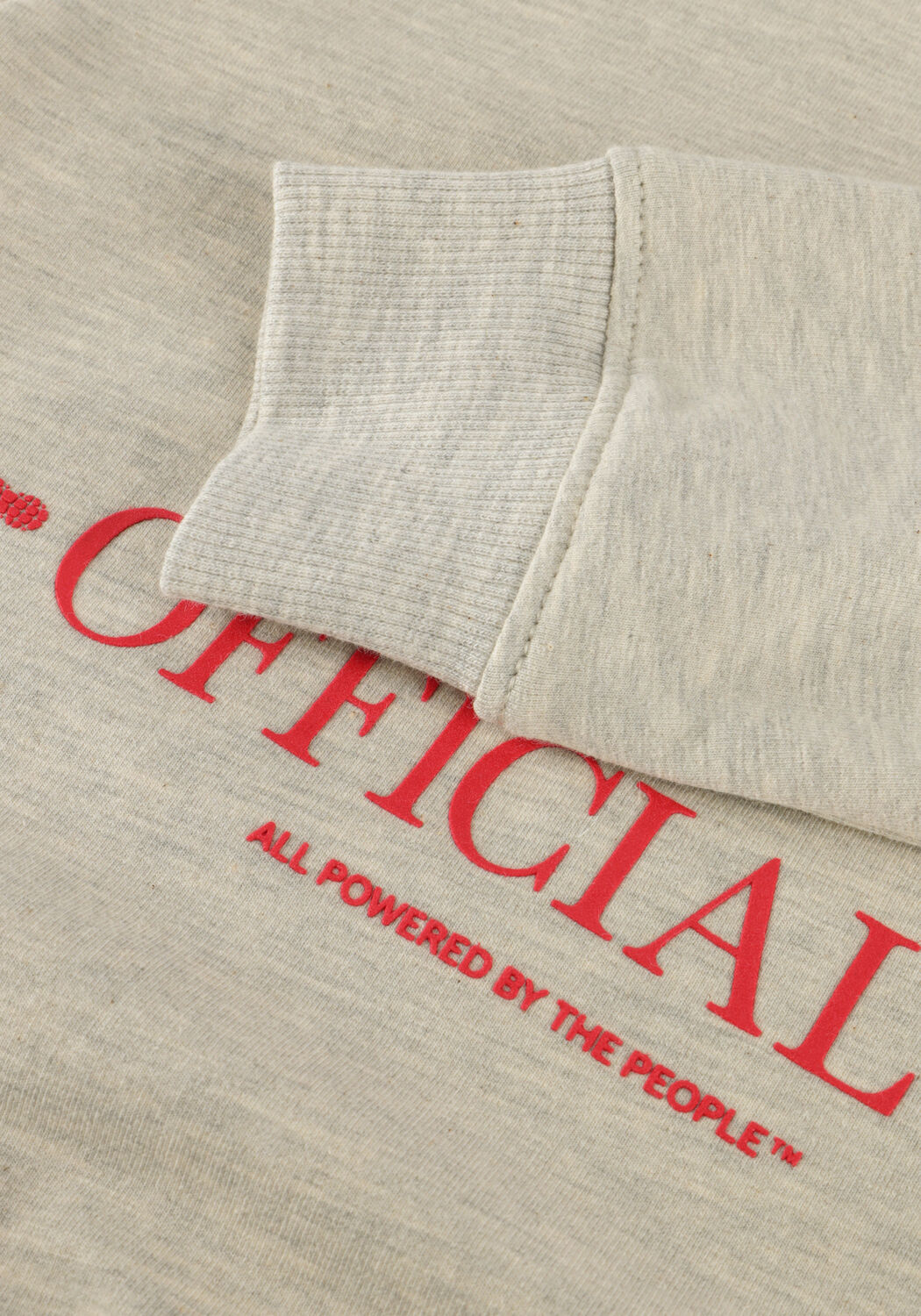 Lichtgrijze RAIZZED Trui NOFFICAL - large